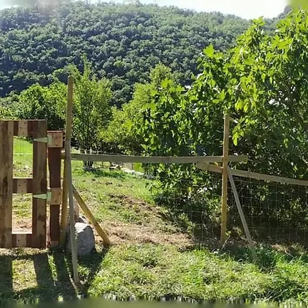 Inlakesh Bed and breakfast