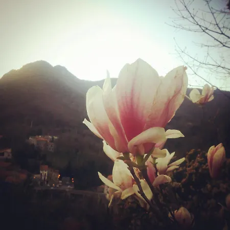 Bed and breakfast Inlakesh