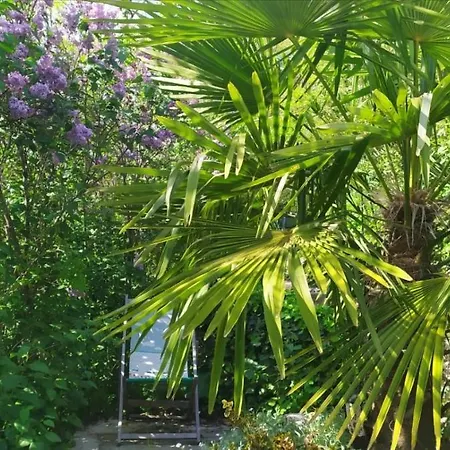 Bed and breakfast Inlakesh 3*