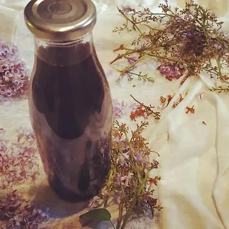 Bed and breakfast Inlakesh