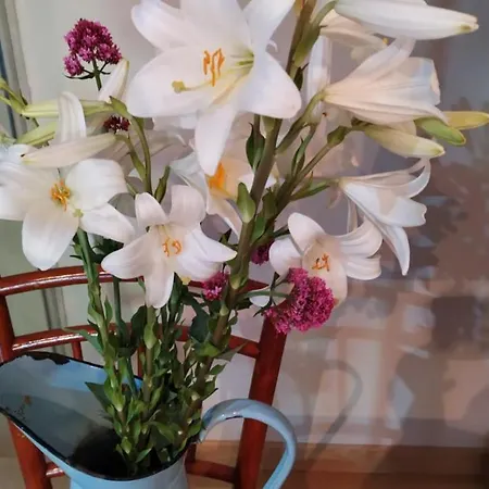 Inlakesh Bed and breakfast 3*