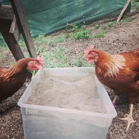 Inlakesh Frühstückspension *