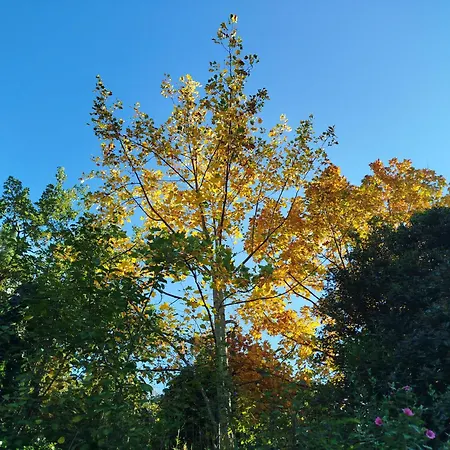 Bed and breakfast Inlakesh Le Tech