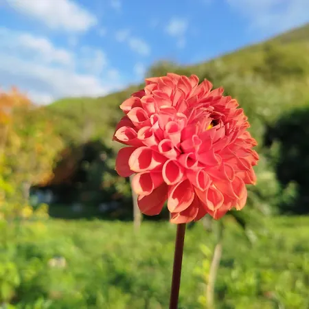 Inlakesh Bed and breakfast