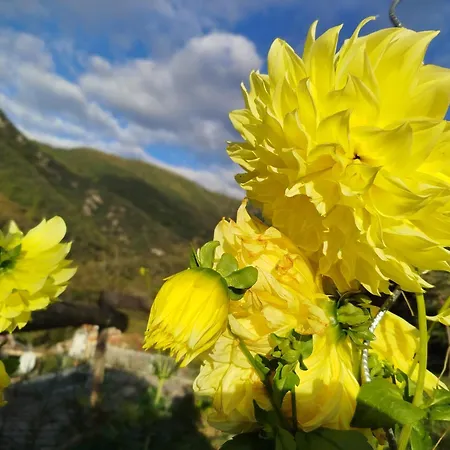 Inlakesh Bed and breakfast 3*