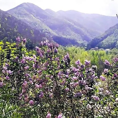Inlakesh Bed & Breakfast Le Tech