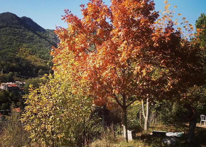 Bed & Breakfast Inlakesh Le Tech